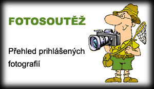 FOTOSOUT̎ - Pehled pihlench fotografi